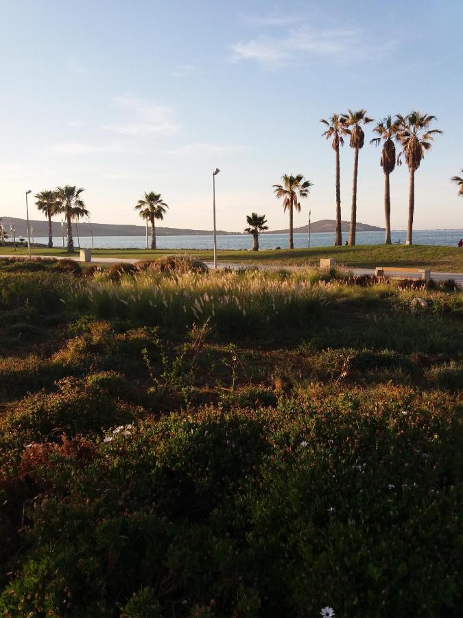 Apartment Nador Rif Kültér fotó